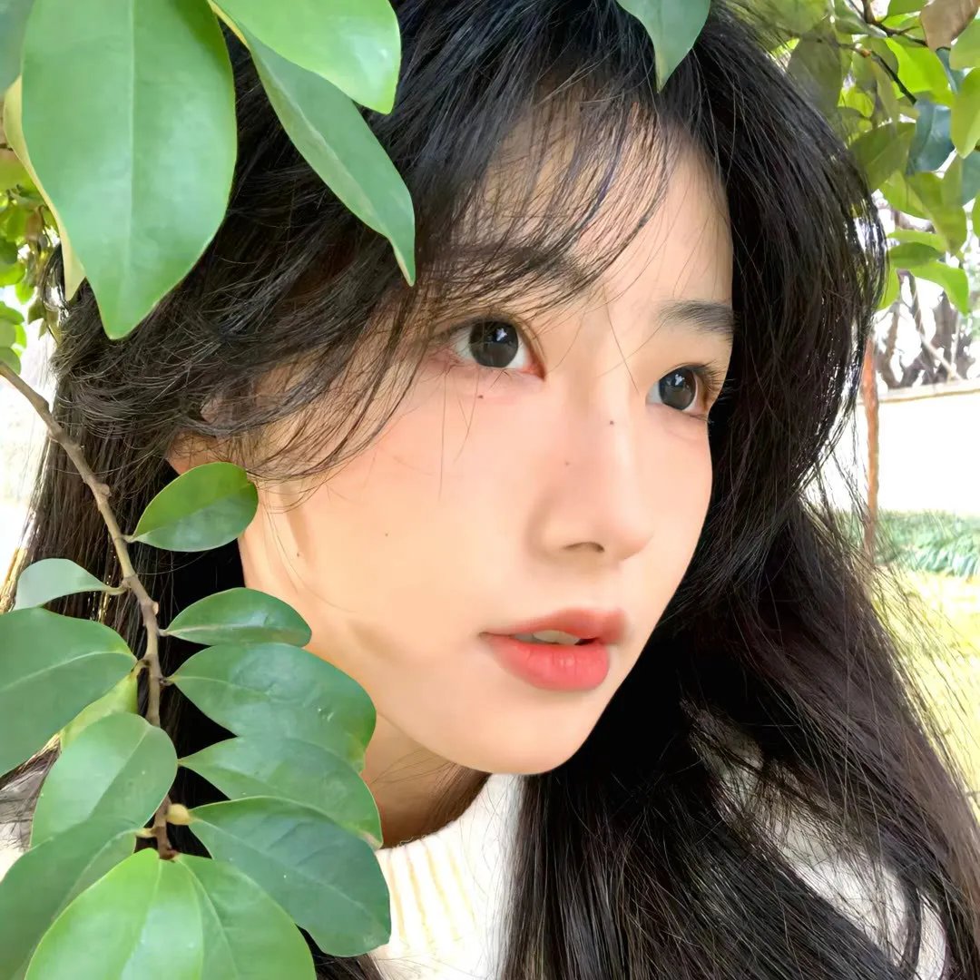 隔窗友缘